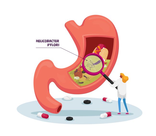 helicobacter pylori